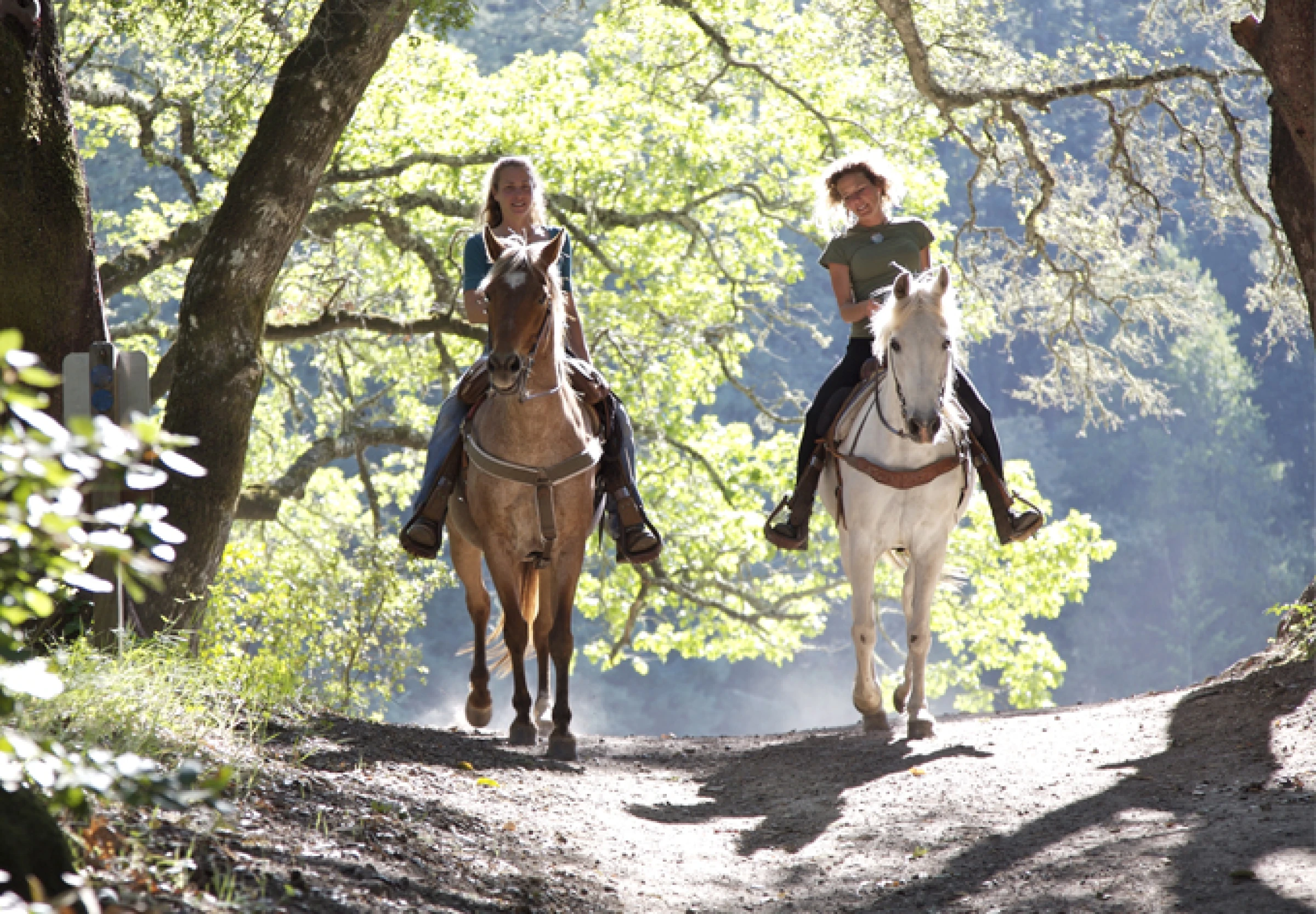 хорс райдинг. едет конный идет пеший а мне год. идеальная конница московской руси. художник alfred wierusz kowalski. конная прогулка алтай катунь.
